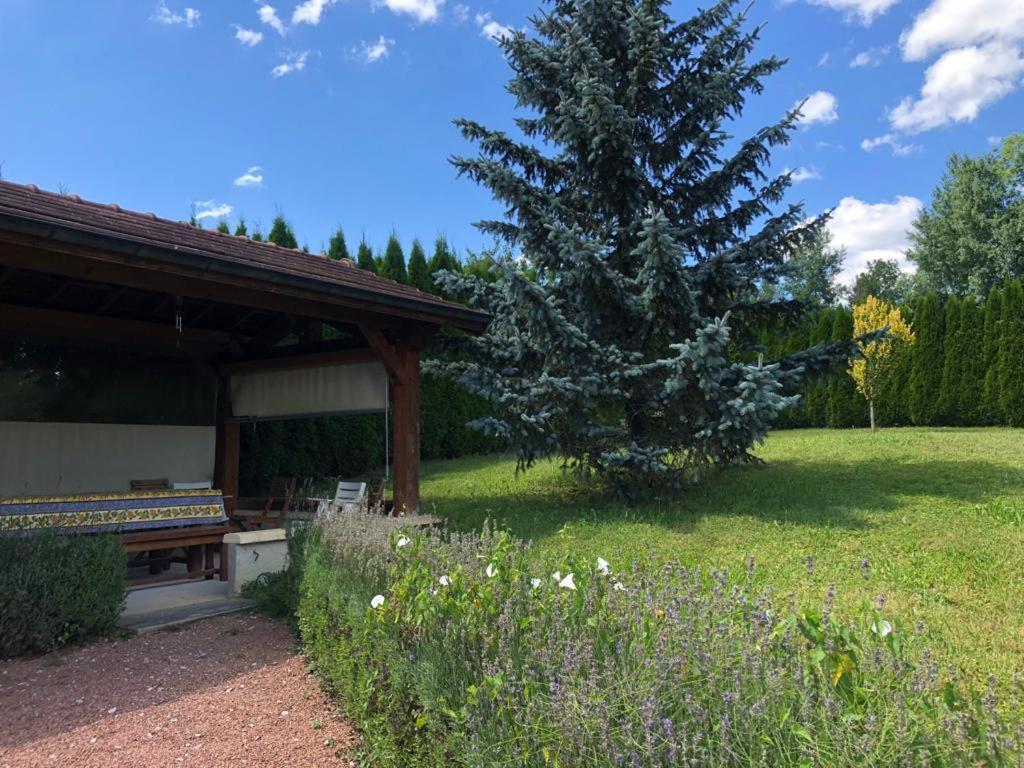 Maison/Gite Familial Dans Le Jura A 200M Du Lac Avec Piscine Privee Marigny  Zewnętrze zdjęcie