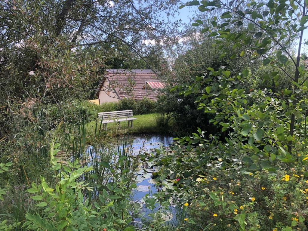 Maison/Gite Familial Dans Le Jura A 200M Du Lac Avec Piscine Privee Marigny  Zewnętrze zdjęcie